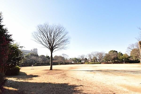 detached 茨城県常総市内守谷町きぬの里３丁目
地図を見る