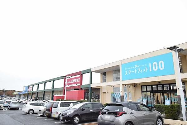 カスミ千波店まで2100m、お惣菜が豊富な深夜営業のカスミ（スーパー）。帰宅が遅い方には何かと便利です。