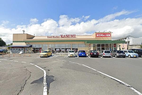 カスミ高津店まで1700m、家族そろって週末のまとめ買いも便利です。