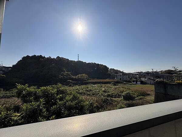 南側には緑が広がっていて季節の移ろいを感じられる環境！