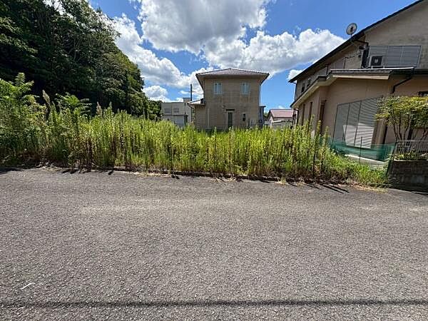 54号地