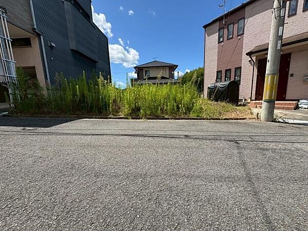 11号地