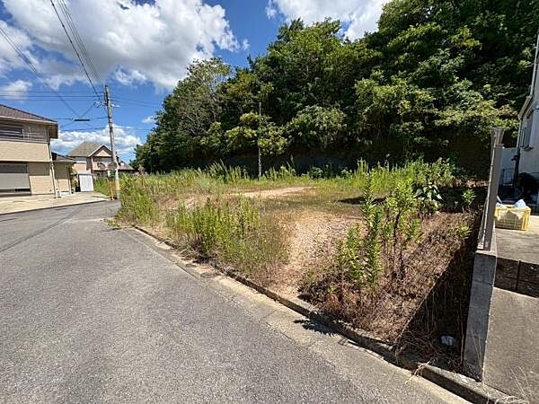 64.65号地