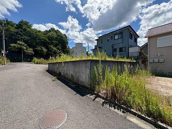 62号地