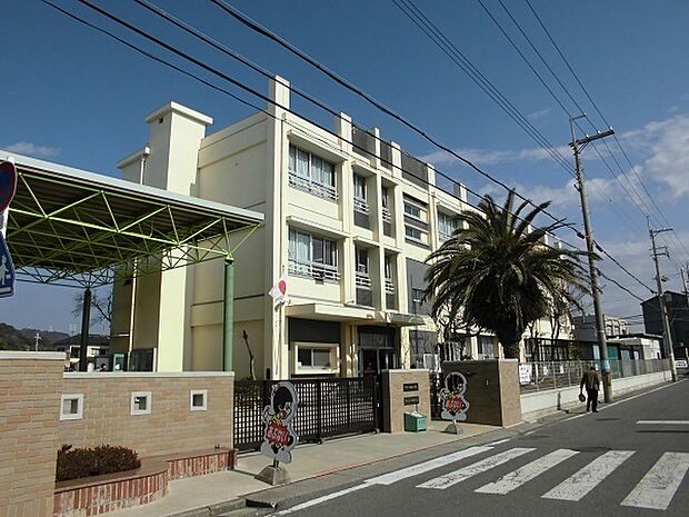 和歌山市立西脇小学校まで957m