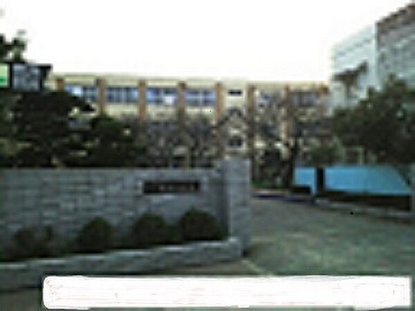 和歌山市立雑賀小学校まで970m