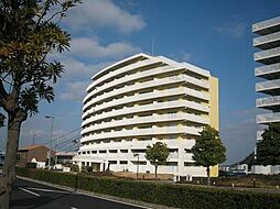 パシフィックビスタ1