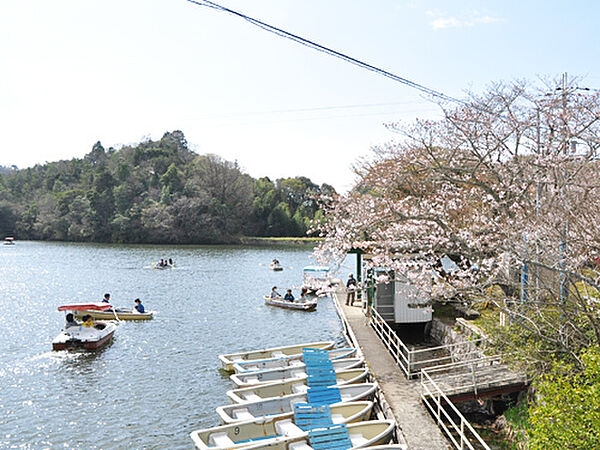 大池遊園まで964m
