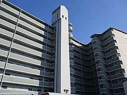 コスモ岩出