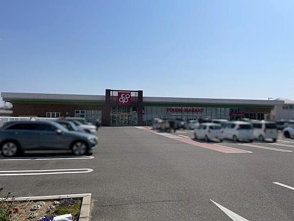 コープ中之島店まで295m