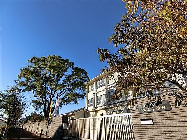 和歌山市立松江小学校まで994m