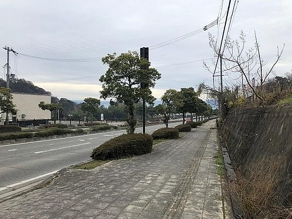 交通量の多い「県道泉佐野岩出線」沿い