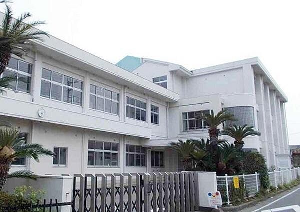 紀の川市立中貴志小学校まで1089m