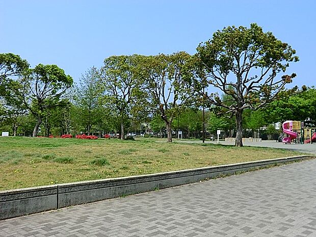本郷台中央公園　800m　遊具はあまり多くないですが芝生がきれいに手入れされた気持ちの良い公園です。 