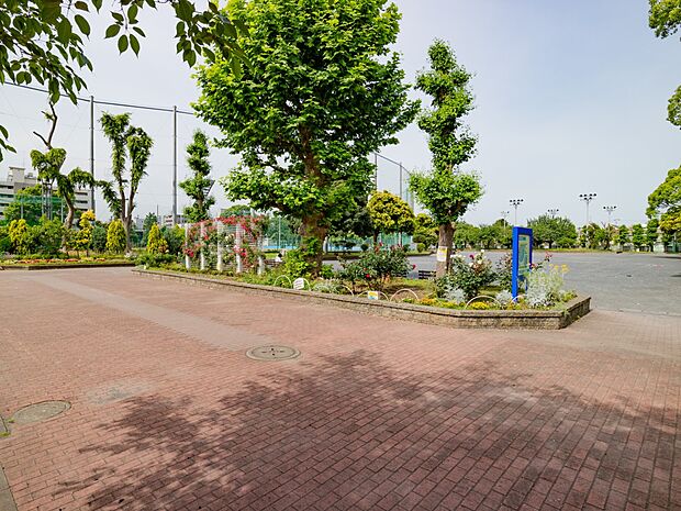 潮田公園　130m　野球場、テニスコート、プール、遊具広場、コミュニティハウスなどがあり、多目的に利用可能な公園。 