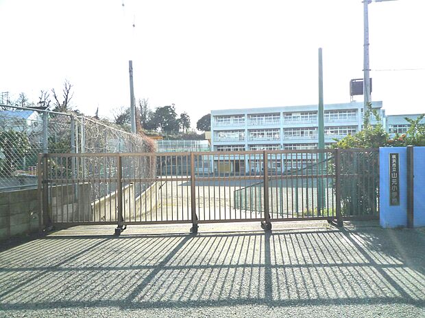 横浜市立山元小学校　600m　 