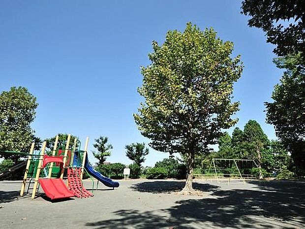 岡村公園　550m　大きな梅林があり、高台では横浜ランドマークタワーや富士山などを望むことができます。 