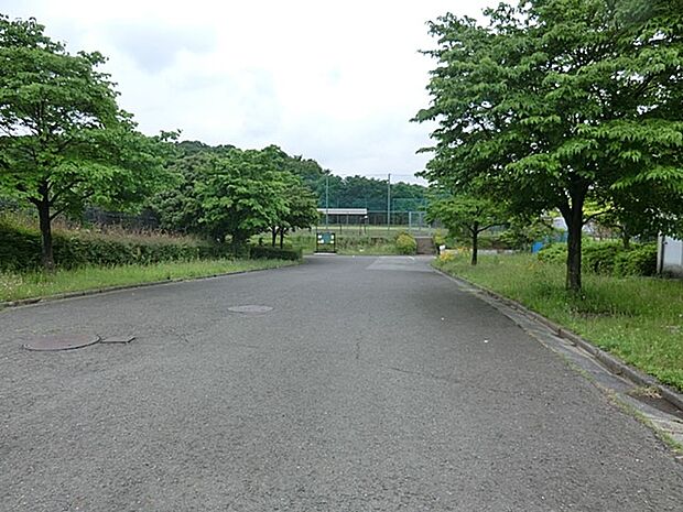 上管田東部公園　350m　野球のグラウンドがある公園。少年野球チームの試合会場になることも 