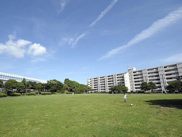 新杉田公園　600m　野球場、テニスコート、ドッグラン、芝生広場などが整備された地区公園です。 