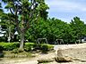 周辺：鷹取公園　750m　丘の上にある公園。とても見晴らしが良く、遠く房総半島の山々まで一望することができます。 