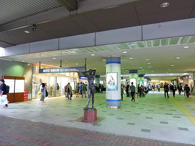 青葉台駅 （東急田園都市線）　2600m　急行停車駅。急行利用で「渋谷」駅へ約25分。半蔵門線乗り入れで「大手町」駅へもダイレクトアクセス。 