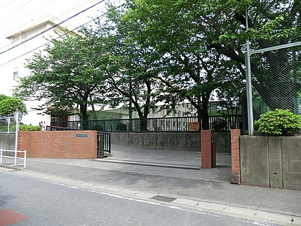 藤沢市立新林小学校　800m　 