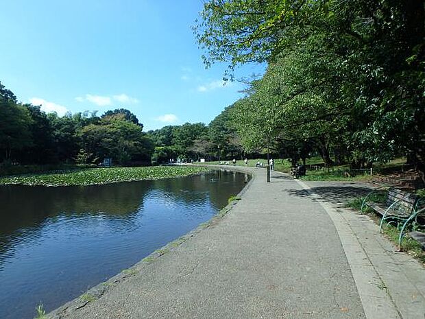 せせらぎ公園 1100m 情緒のある池の周りには春には桜が咲き、お散歩に最適です。