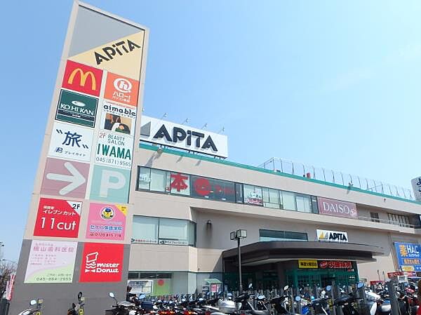 アピタ戸塚店　800m　100円ショップやドラッグストア、美容室、ペットショップなどが入る商業施設。