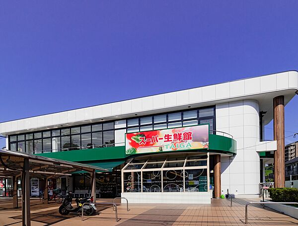 スーパー生鮮館TAIGA岡津店　240m　「鮮度はおいしさ」が合言葉の地域密着型の良心的なスーパー。
