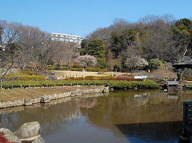 馬場花木園 1000m 豊かな緑に囲まれた和風庭園。『春祭り』や『蛍鑑賞会』など地域に根付いたイベントも。