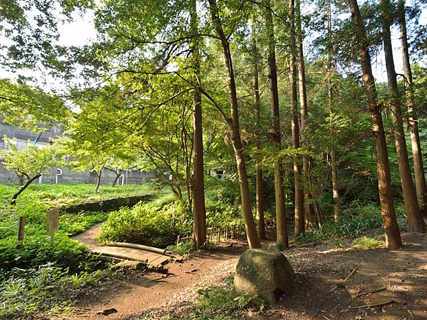 長屋門都市緑地 400m 園内は豊かな自然に恵まれ、自然観察林や雑木広場、せせらぎの水辺があります。