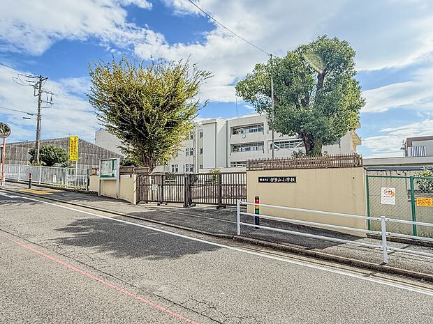 横浜市立伊勢山小学校　50m　 