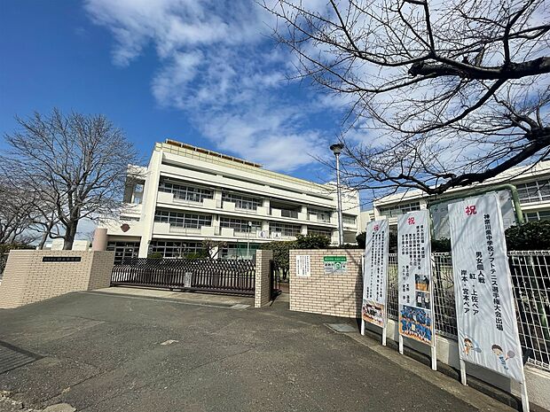 横浜市立錦台中学校　280m　 