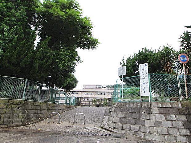 横浜市立城郷小学校 500m
