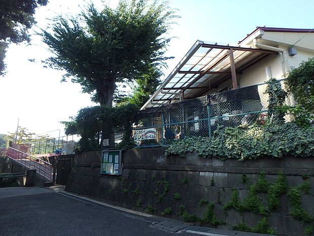 横浜市立向台保育園　250m　自然豊かな環境で、虫取りや木のぼりなどの自然遊びを通して、心身共に育つことを願って保育しています。 