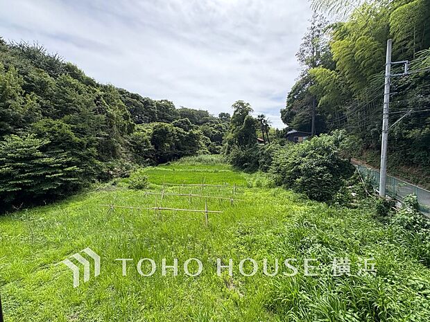 木々の緑がまぶしい、豊かな緑と静寂。ずっと見ていたいと思わせてくれる景色。