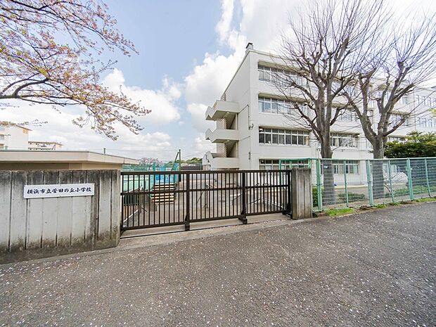 横浜市立菅田の丘小学校　1300m　 