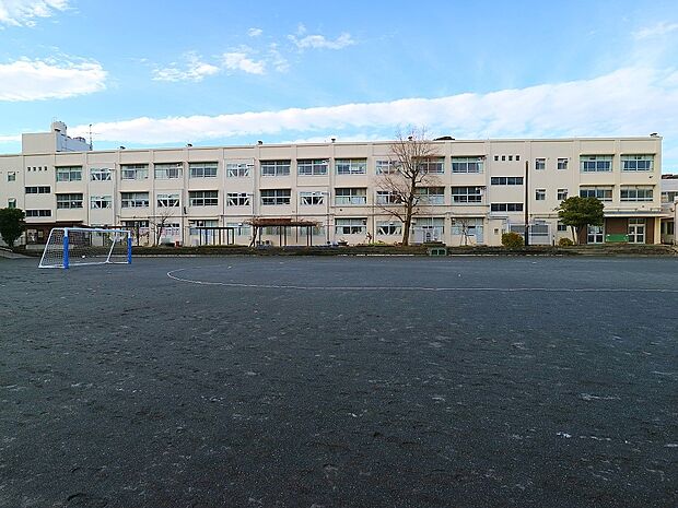 横浜市立富岡小学校 600m