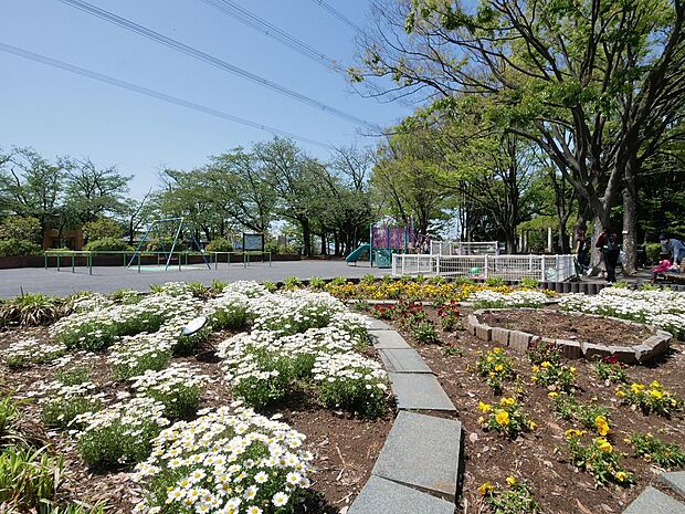 日限山公園　600m　緑いっぱいで癒される公園。遊具も揃っているので、小さなお子様も楽しく遊べます。 