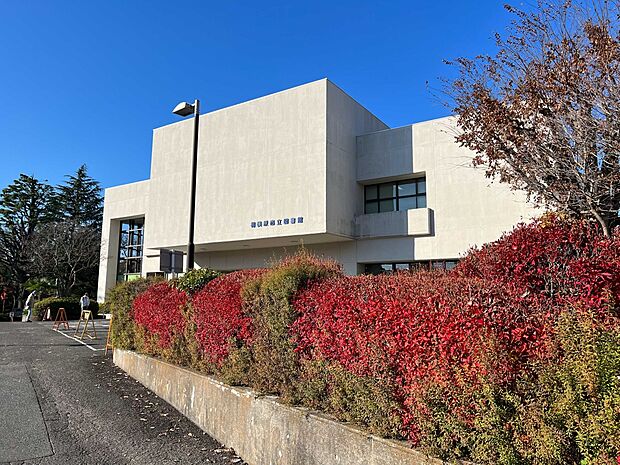 相模原市立図書館　700m　幅広いジャンルの蔵書を膨大に持ち、テーマに沿った図書を幅広く揃えた市民の為の図書館。 