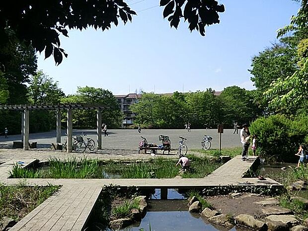 坪呑公園 500m 自然豊かな公園として生まれました。遊歩道が敷かれており、緑の中で散策も楽しめます。