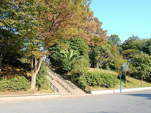 山内公園　290m　住宅街の中にある自然豊かな公園。お子様の遊具や、ひとやすみできるベンチや木陰があります。 