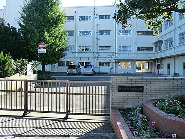横浜市立奈良小学校 500m