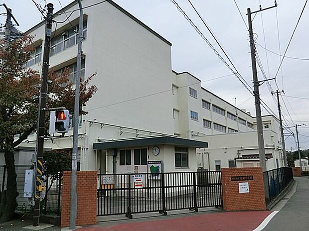 横浜市立川和小学校　600m　 