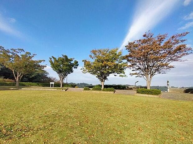 東俣野中央公園 900m 「ジャックと豆の木」をイメージして作られた公園。野球場やテニスコートもありますので大人も楽しめます。