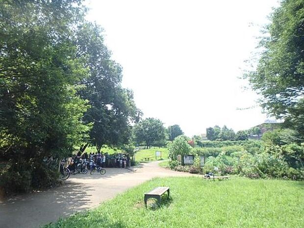 片倉自然公園 1400m 広い園内には、野球場やバスケットコート、多目的広場、遊歩道などがあります。