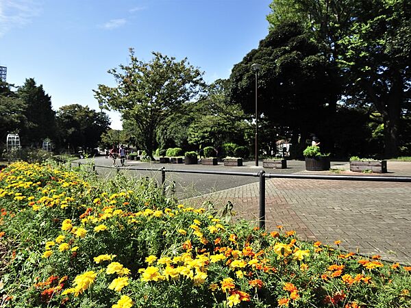 三ツ沢公園　750m　野球場やテニスコート等の施設やお子様が遊べる遊具もあります。四季折々の草花も楽しめる広い公園。