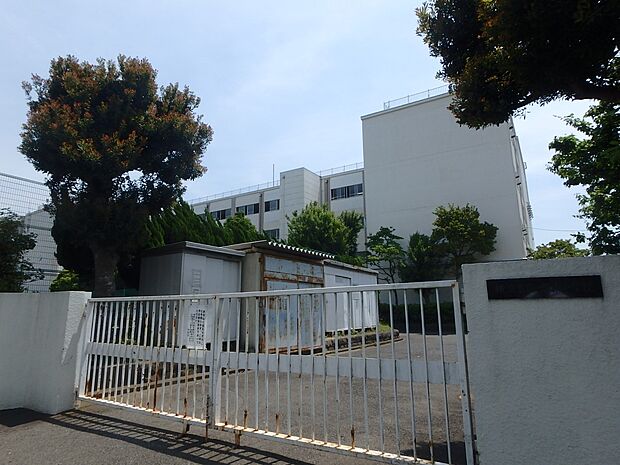 横浜市立六浦中学校 800m