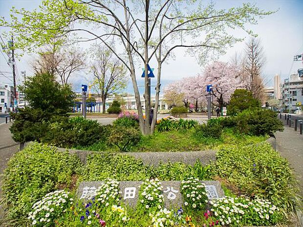 蒔田公園　950m　大型遊具やカヌーで遊べる公園。お休みの日は、お子様連れで賑わいます。   