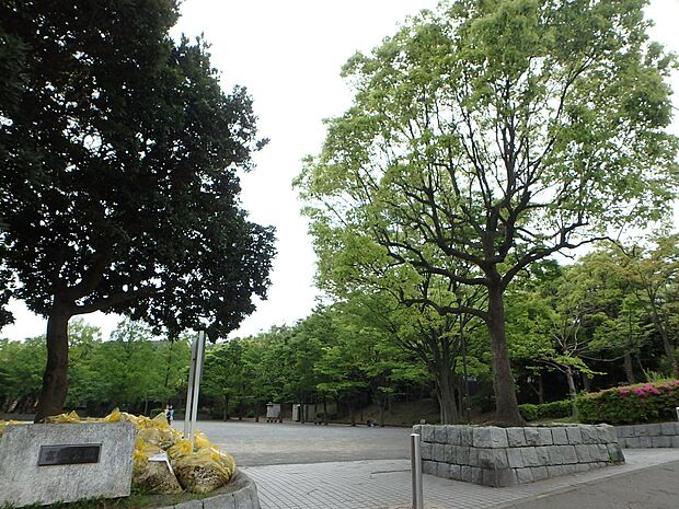 富岡公園　450m　住宅街の中の緑に囲まれた公園。お子様が走り回れる広場や遊具、木陰で休めるベンチがございます。 